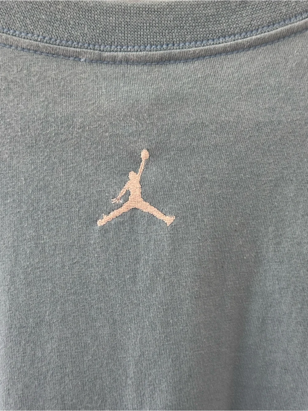 Jordan Men’s Light Blue Sneaker Graphic Tee